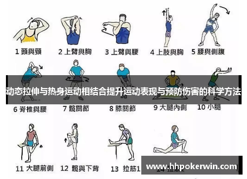 动态拉伸与热身运动相结合提升运动表现与预防伤害的科学方法