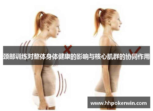 颈部训练对整体身体健康的影响与核心肌群的协同作用